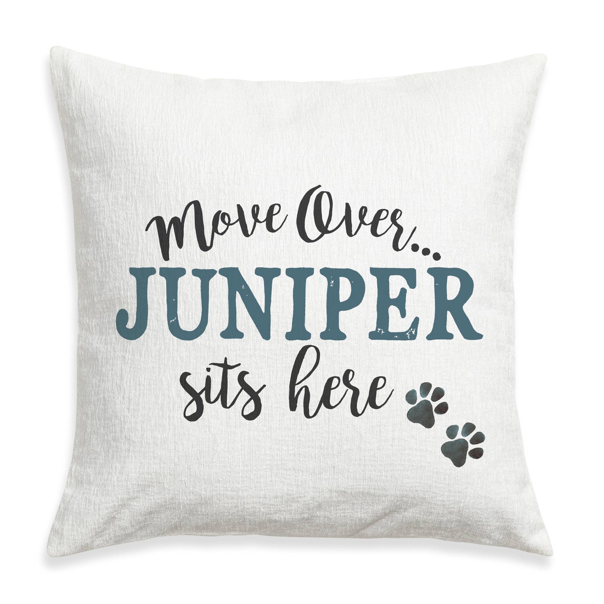 Personalized Move Over Pillow - Signals Catalog