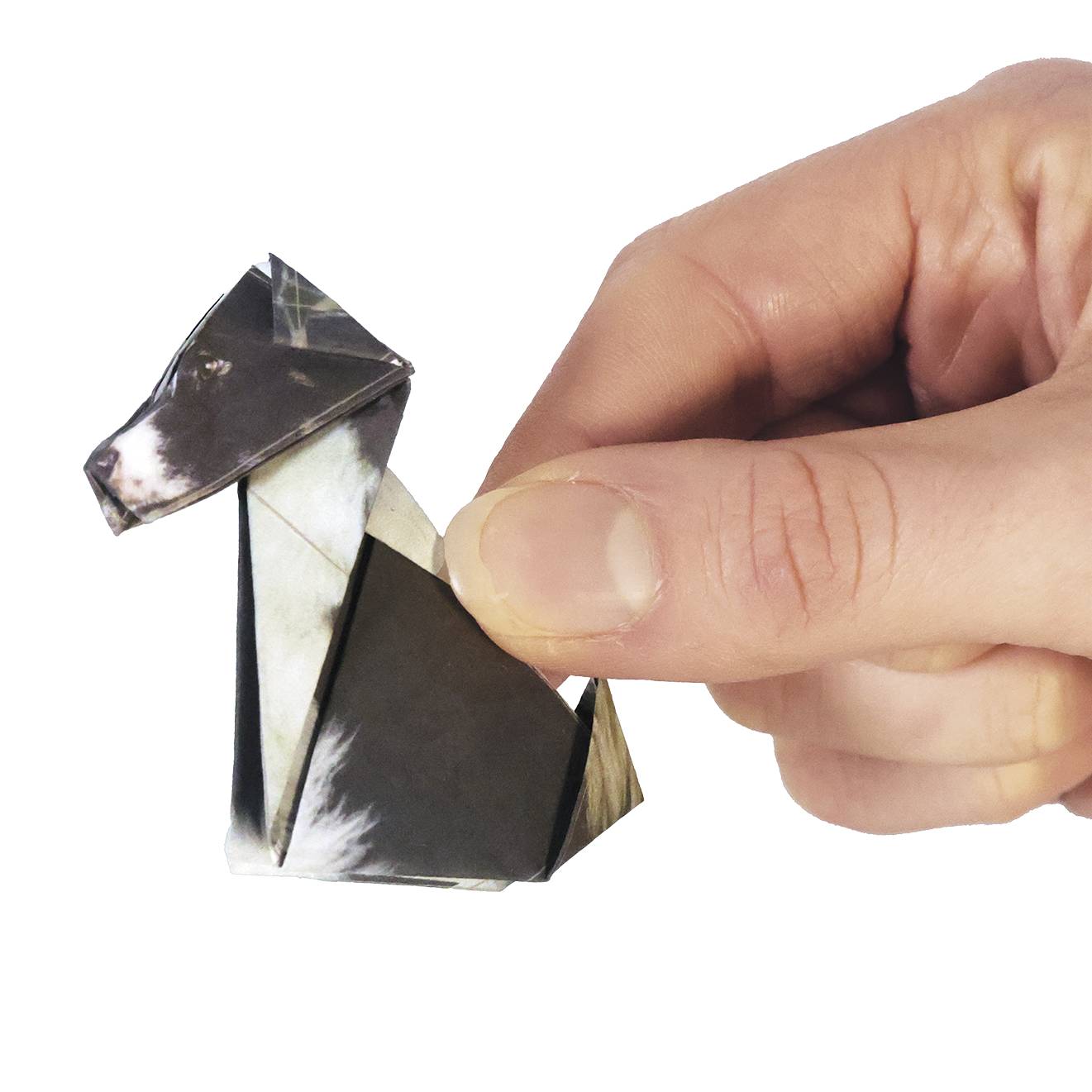 Paper Pets Origami Set, Includes 50 Sheets and an Illustrated Guide - Signals Catalog
