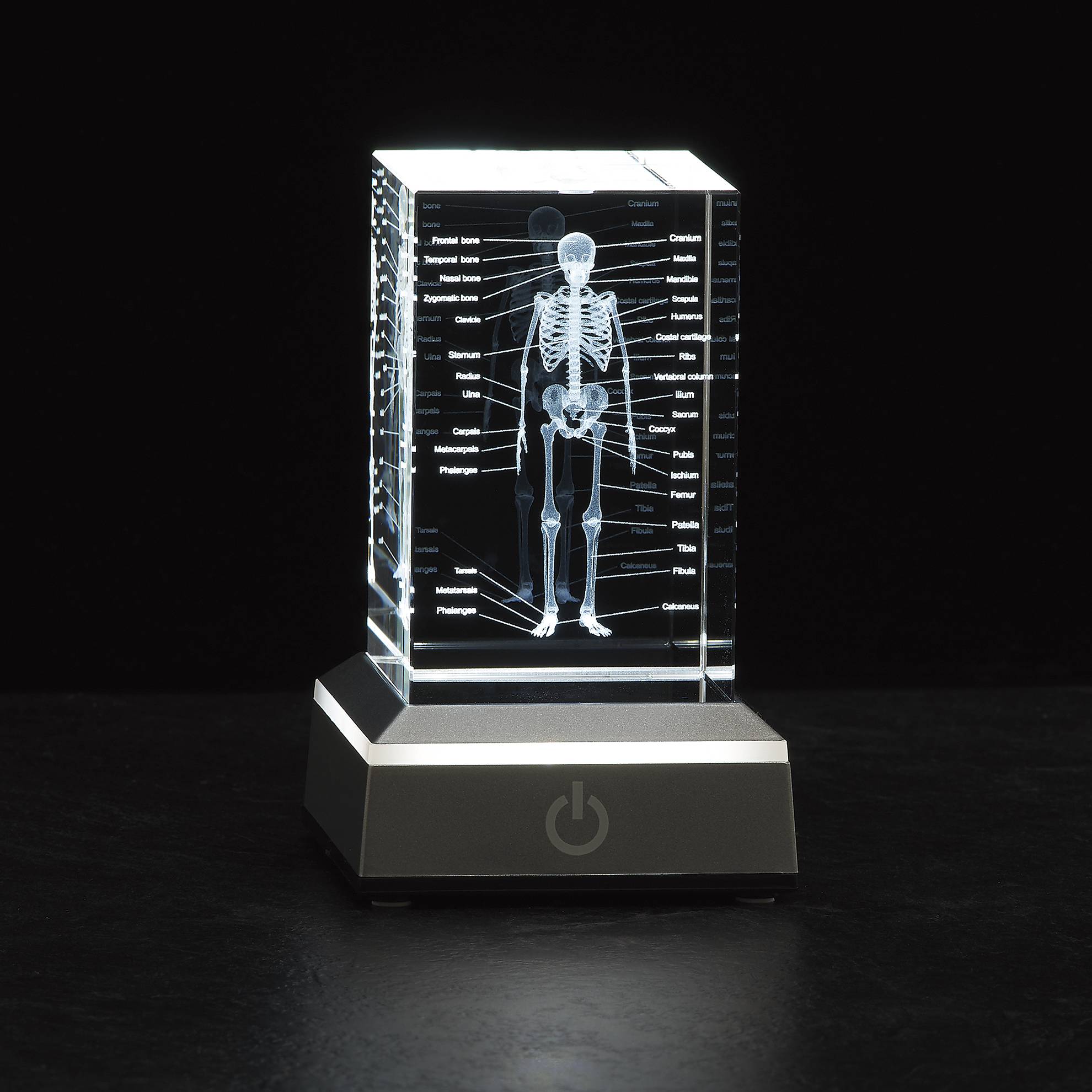LED Etched Glass Skeleton Cube - Signals Catalog