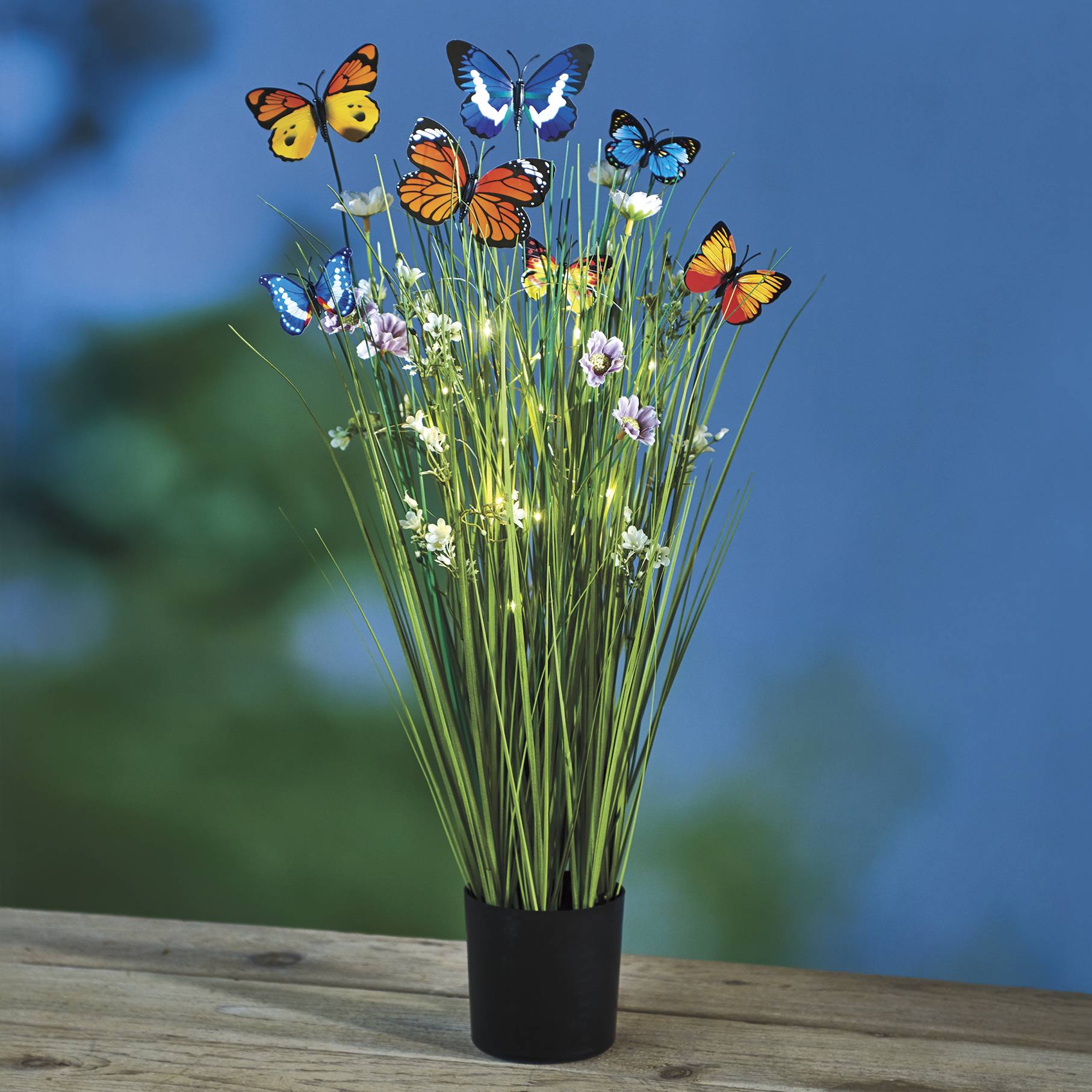Lighted Butterfly Grass - Signals Catalog