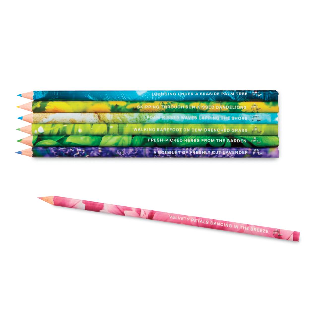 Rub & Sniff Scented Colored Pencils, Pack of 20, Essential Oils - Signals Catalog