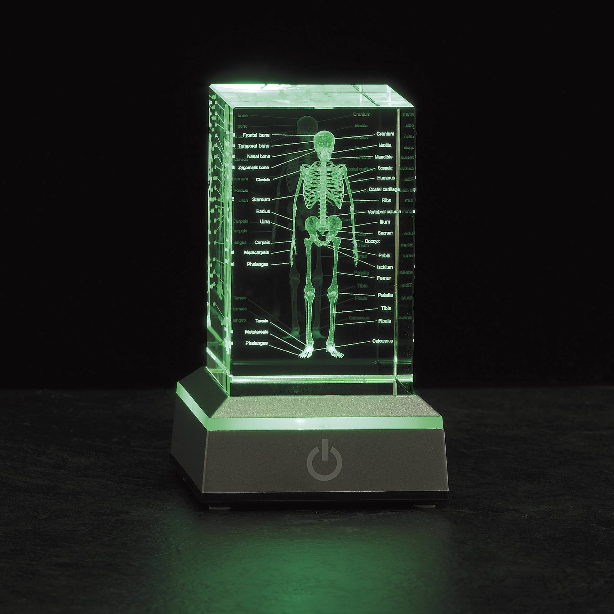LED Etched Glass Skeleton Cube - Signals Catalog