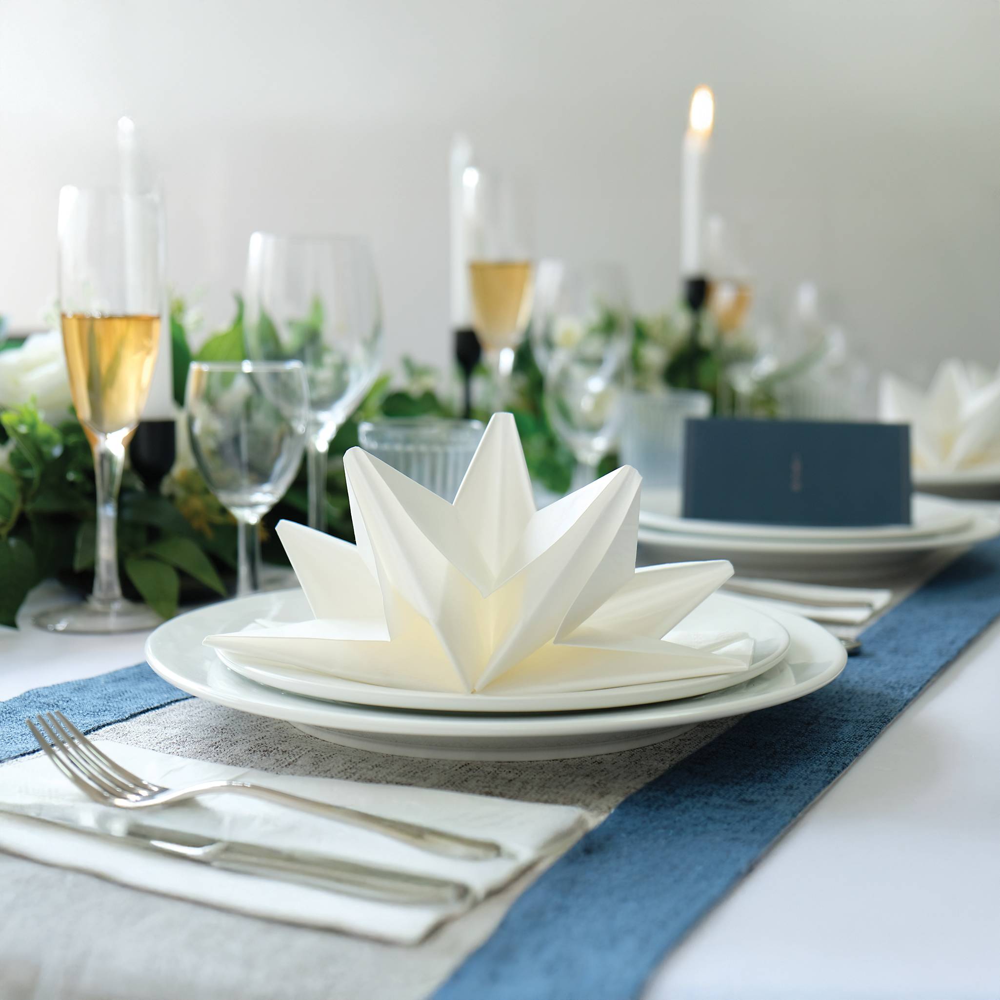 Pre-folded Paper Napkins, Set of 24 - Signals Catalog
