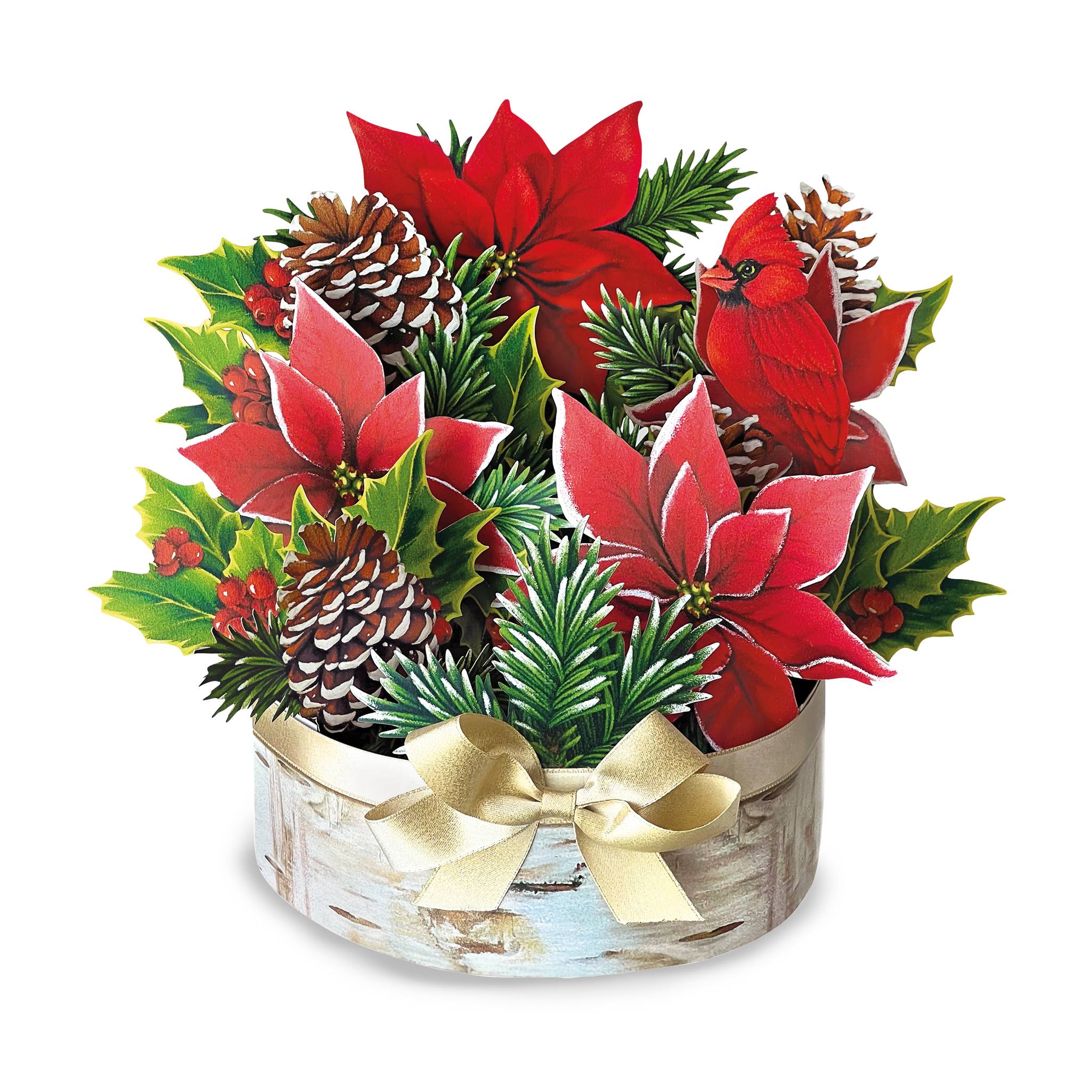 Birch Poinsettia and Amaryllis Pop-Up Cards - Signals Catalog