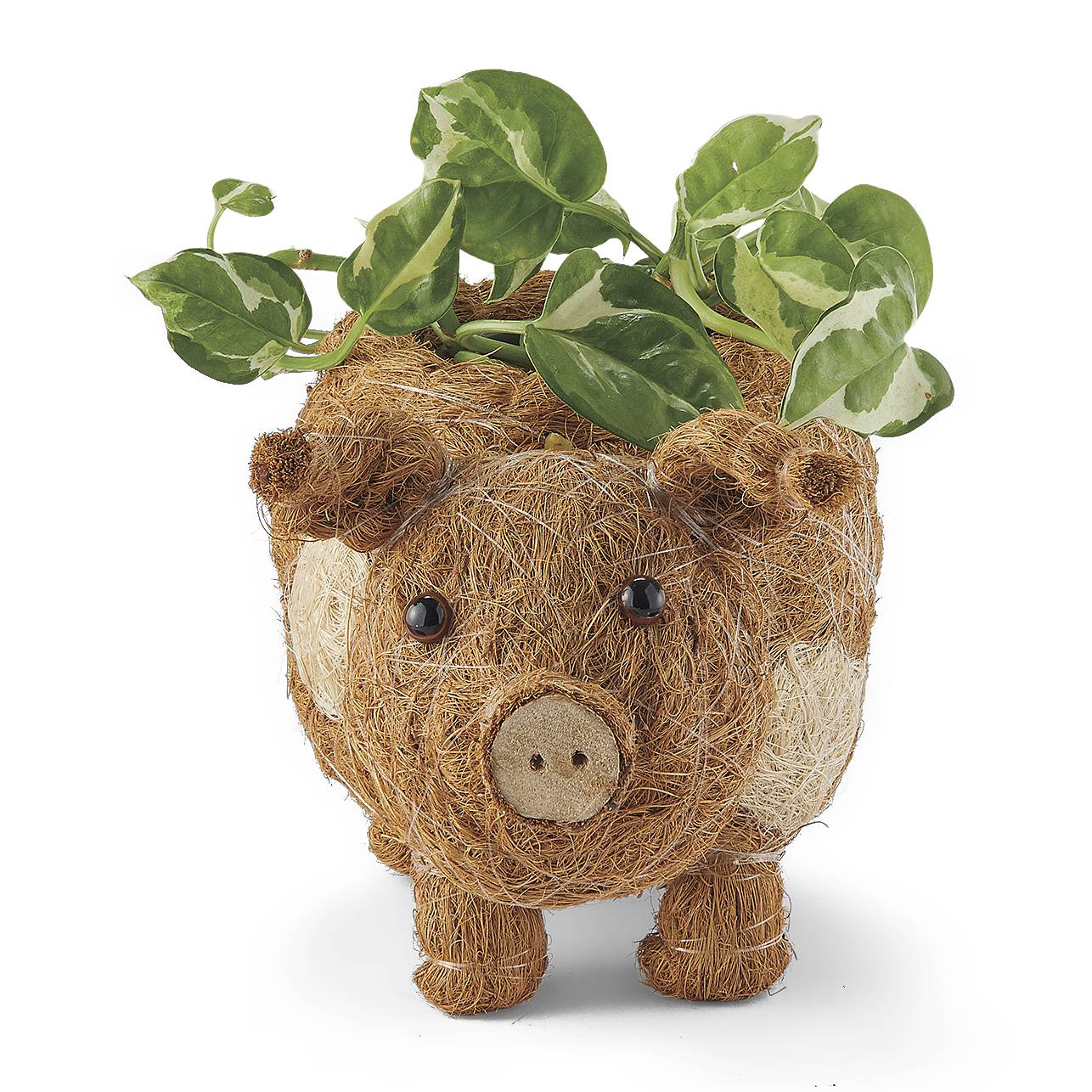 Natural Baby Pig Planter, Whimsical, Handmade Woven Wicker - Signals Catalog