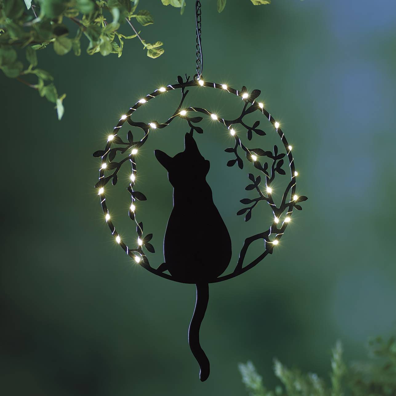 Hanging Solar Cat - Signals Catalog