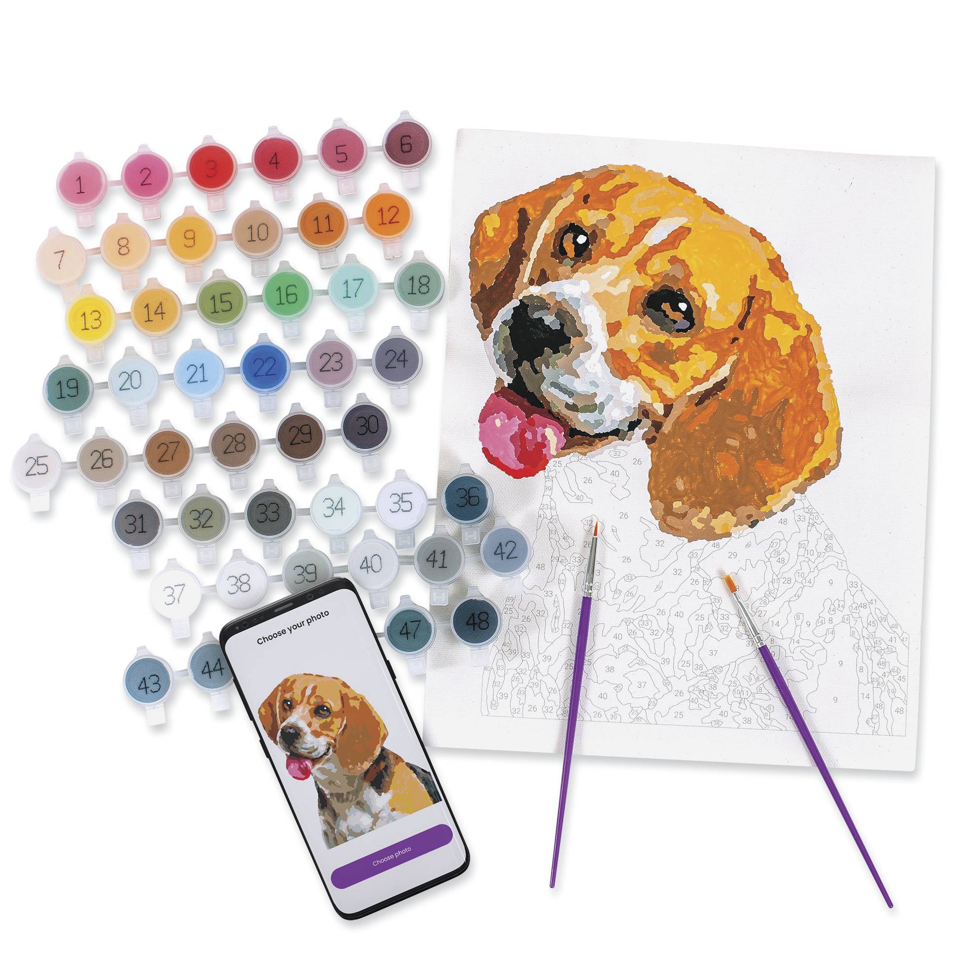 Paint-Your-Own Canvas Pet Portrait Kit, For Pet Lovers - Signals Catalog