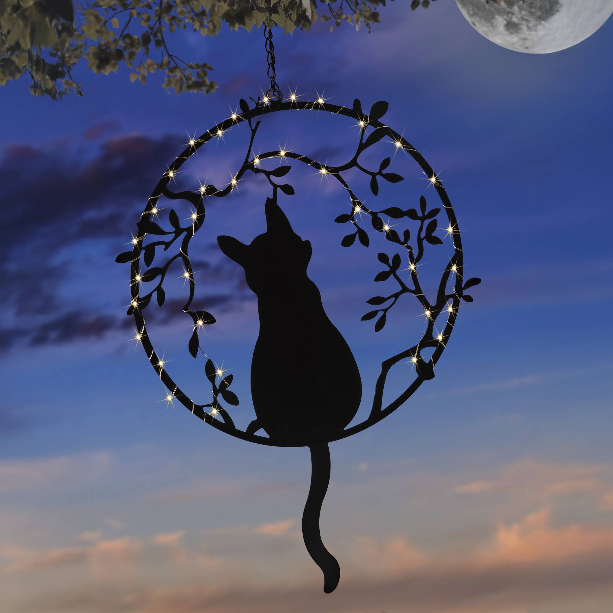 Hanging Solar Cat - Signals Catalog