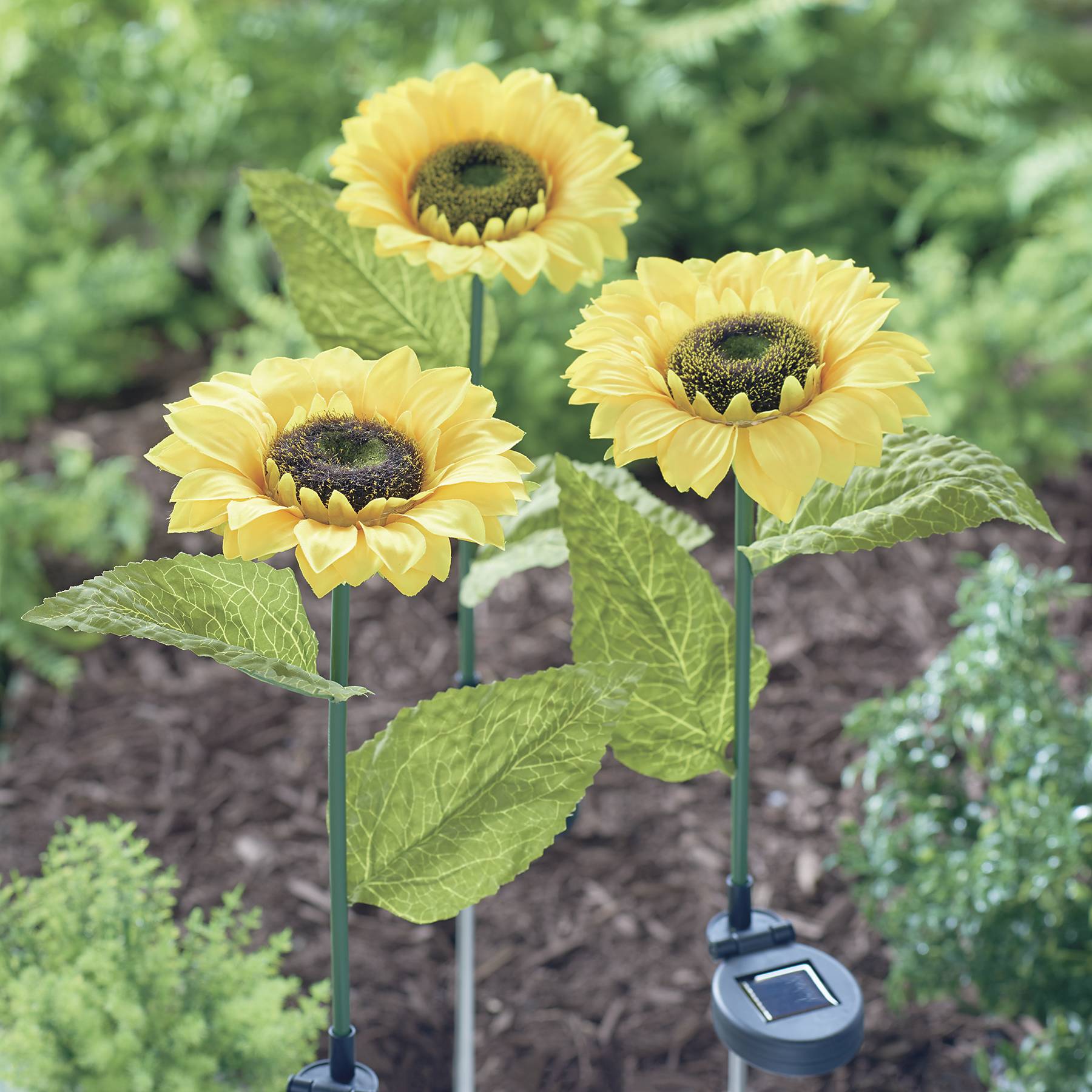 Solar Sunflower Stakes, Set of 3 - Signals Catalog