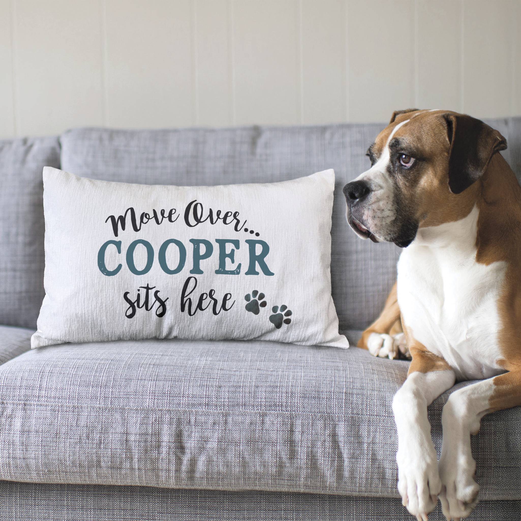 Personalized Move Over Pillow - Signals Catalog