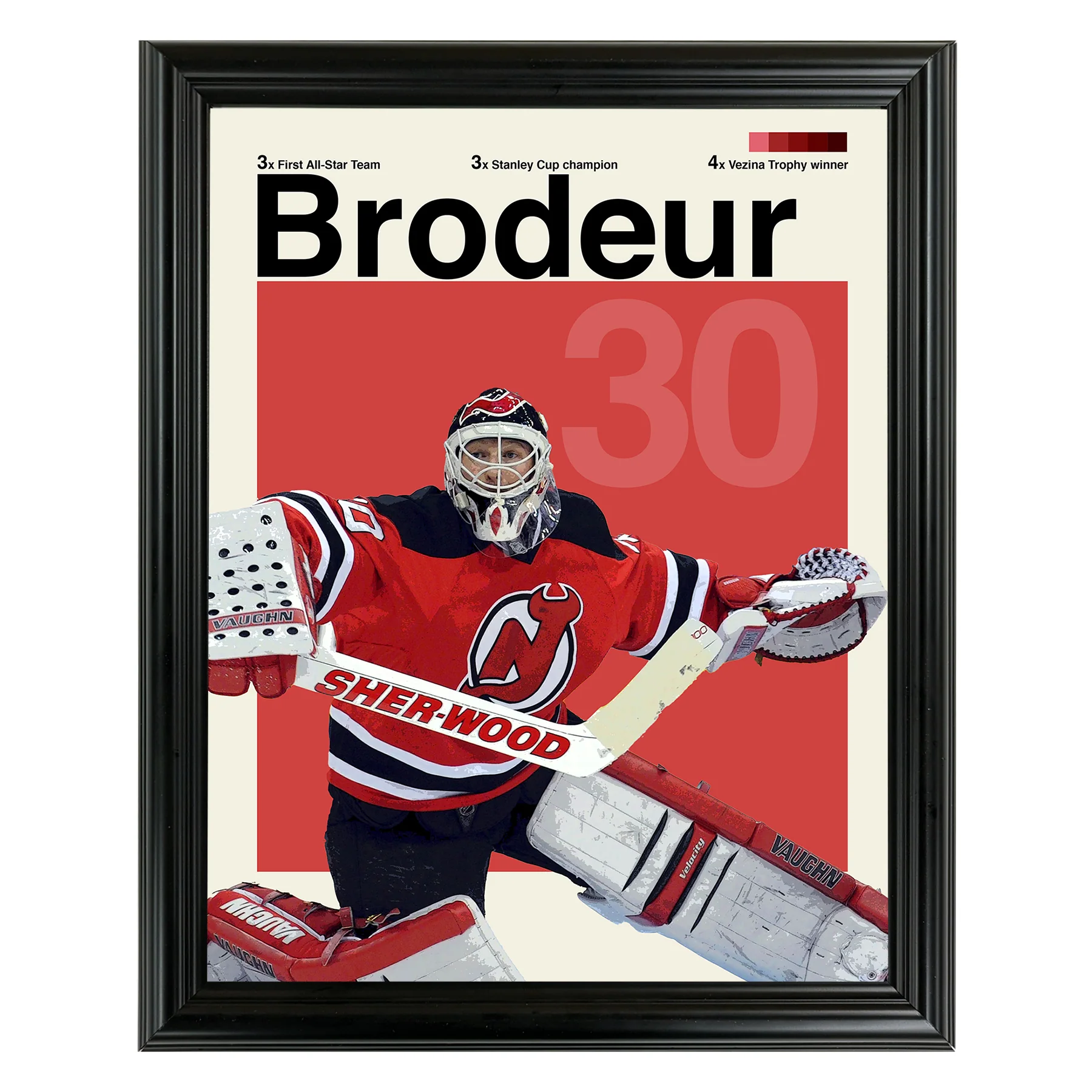 Martin Brodeur Framed Sports Art Photo by Thomas Maxwell