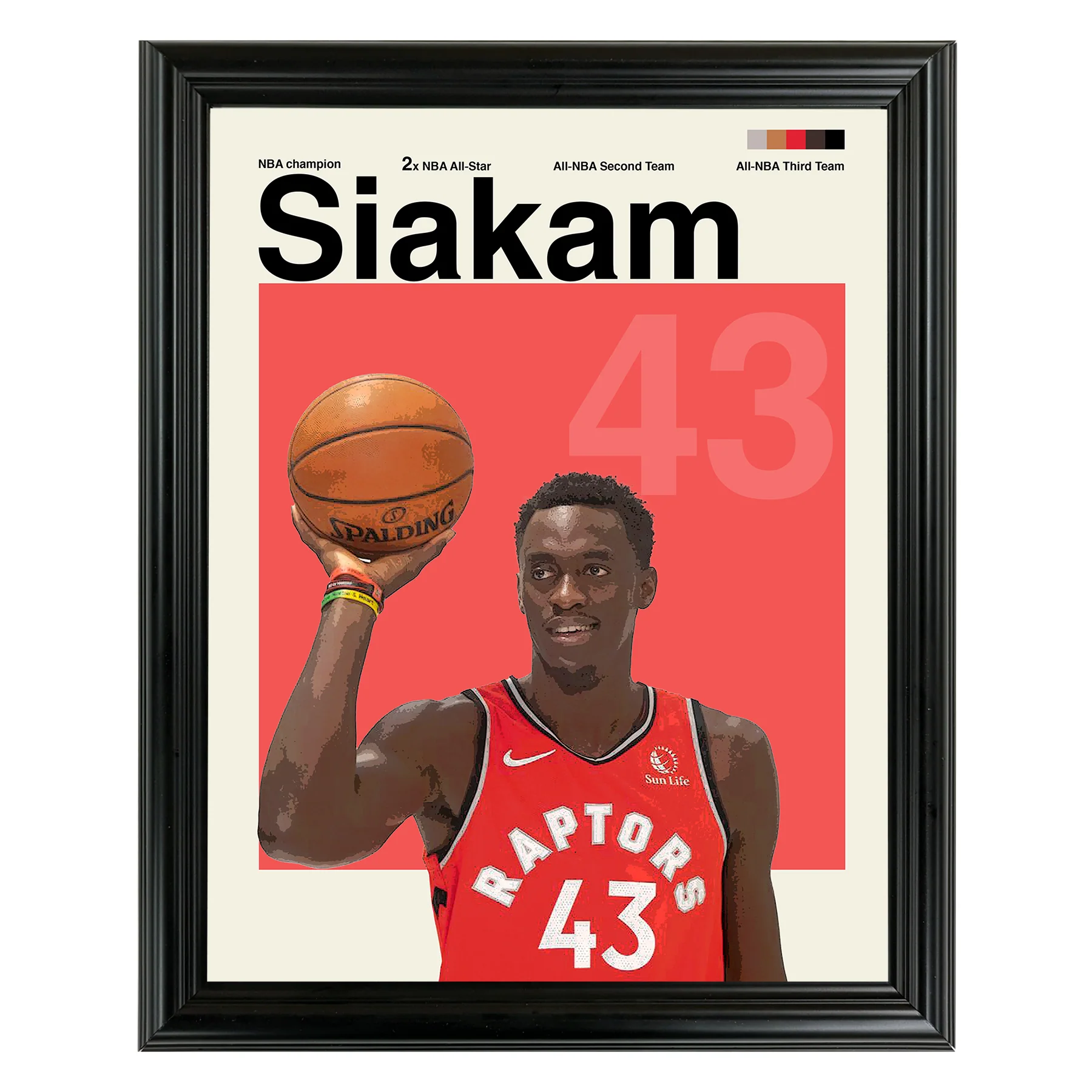 Pascal Siakam Framed Sports Art Photo by Thomas Maxwell
