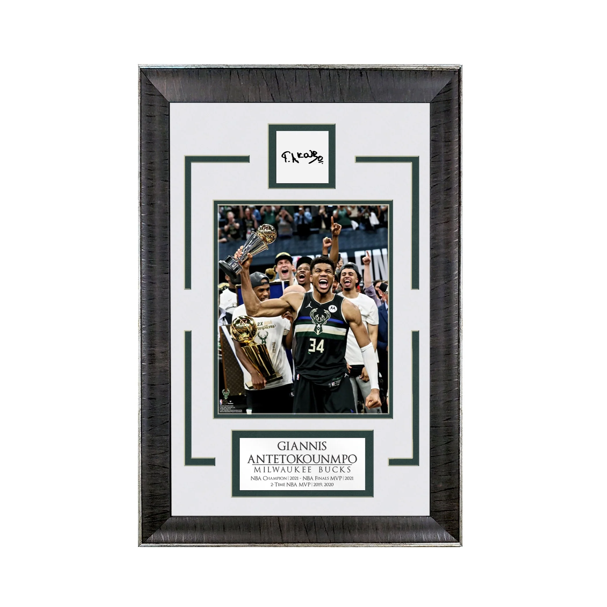 Giannis Antetokounmpo - World Champion - Spotlight Collection | 16 x 23 - Framed Basketball Photo