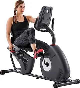 Schwinn 290 Recumbent Bike