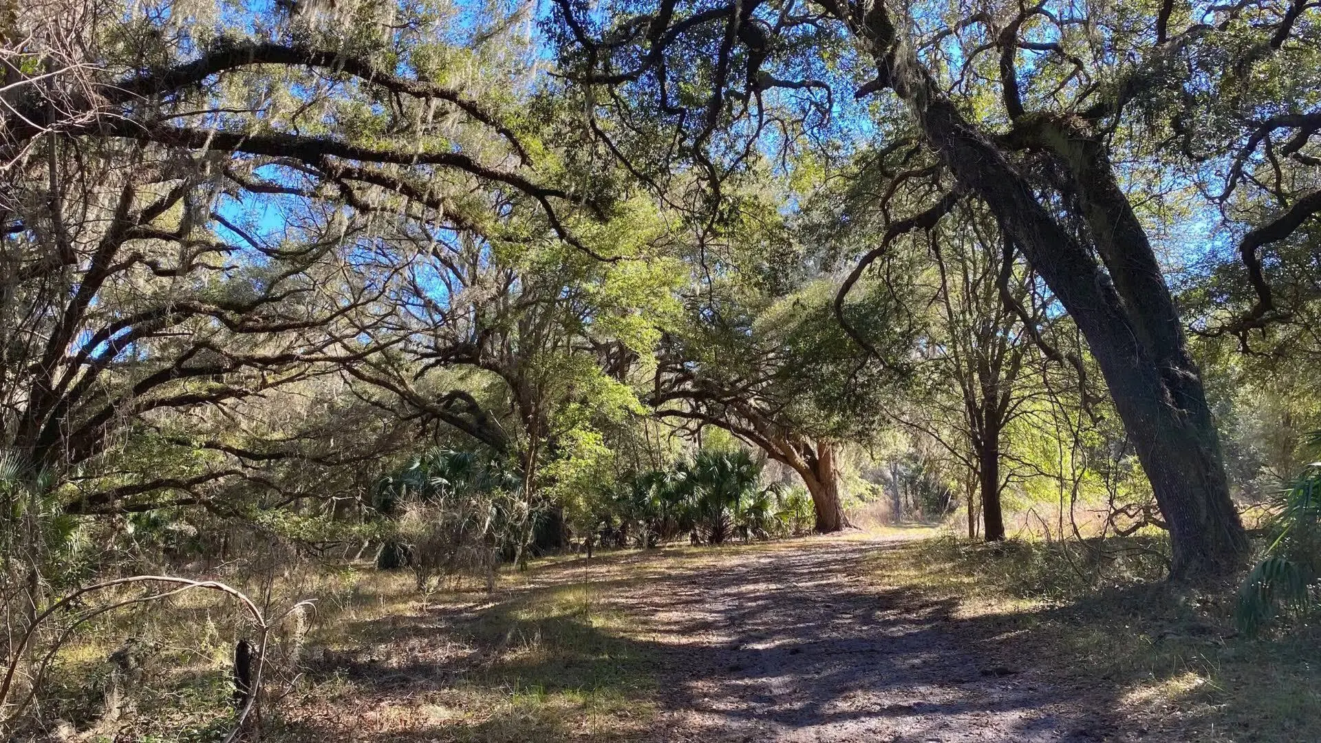 Nishiki Men's Pueblo 1.1 26 in. Mountain Bike | 26