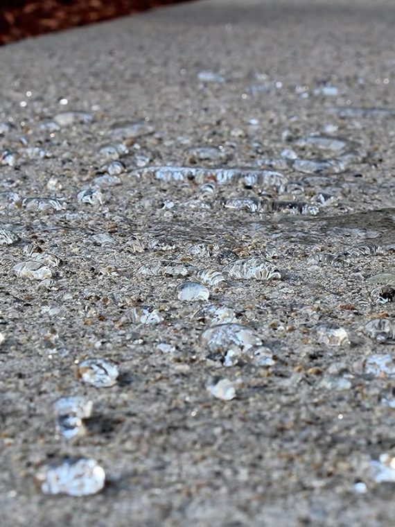 5-Gal. SX5000 WB DOT Approved Water Based Silane Siloxane Penetrating Concrete Sealer, Brick Sealer, Paver Sealer, Natural Stone Sealer