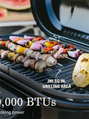 Magic: The Gathering Bloomburrow Play Booster Box �?36 Packs (504 Magic Cards)