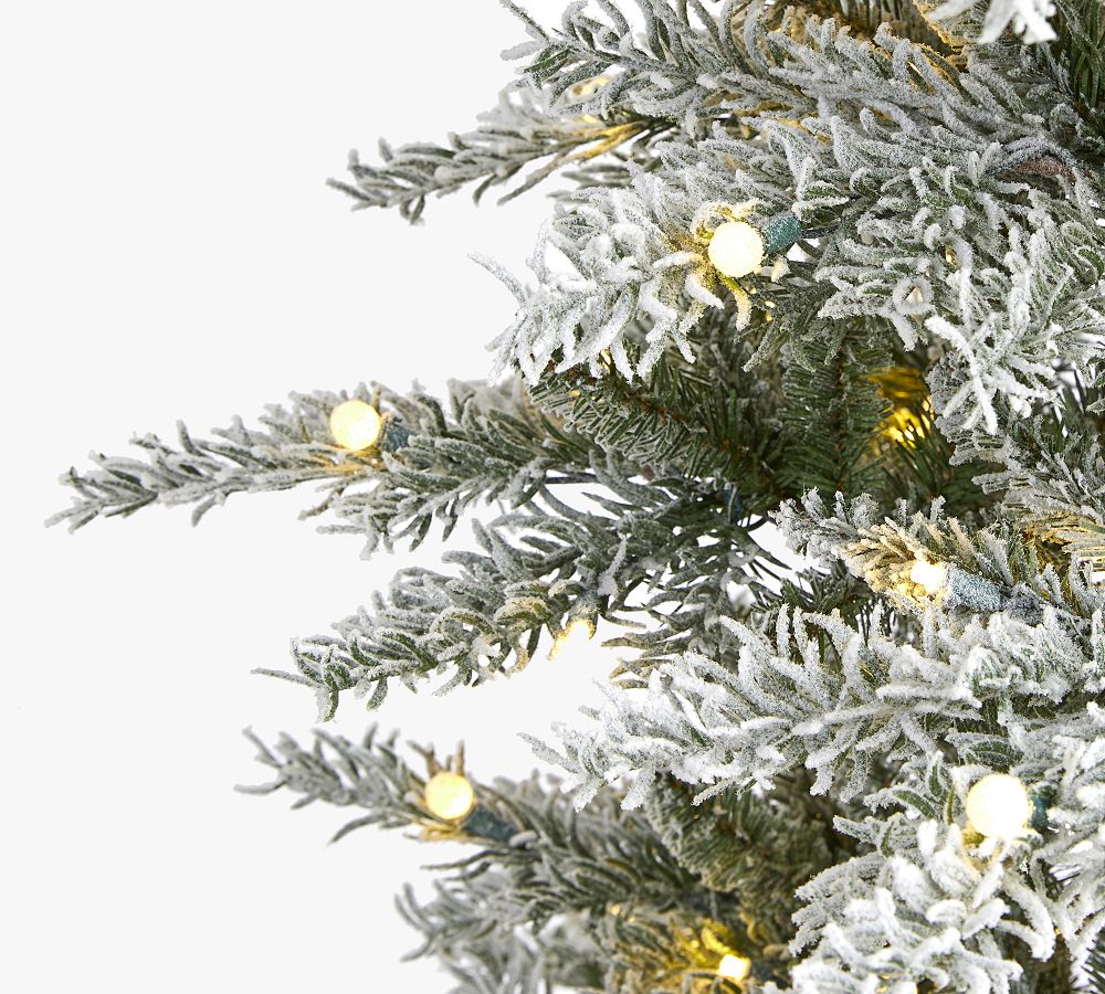 Lit Slim Flocked Nova Scotia Spruce Faux Christmas Tree