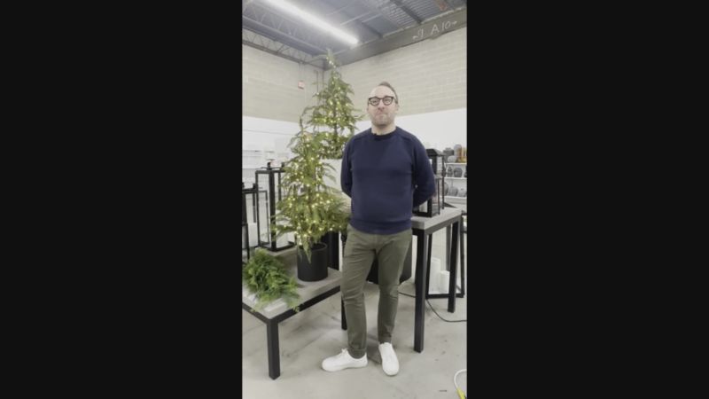 Faux Potted Hemlock Small Pre-Lit LED Christmas Tree with White Lights 4'