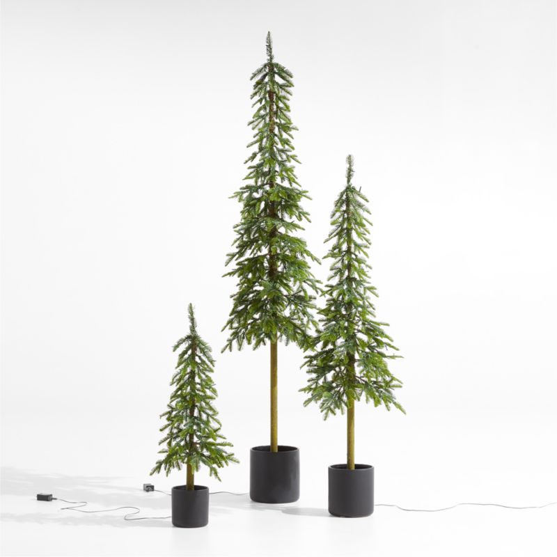 Faux Potted Slim Alpine Pre-Lit LED Tree with White Lights 3'