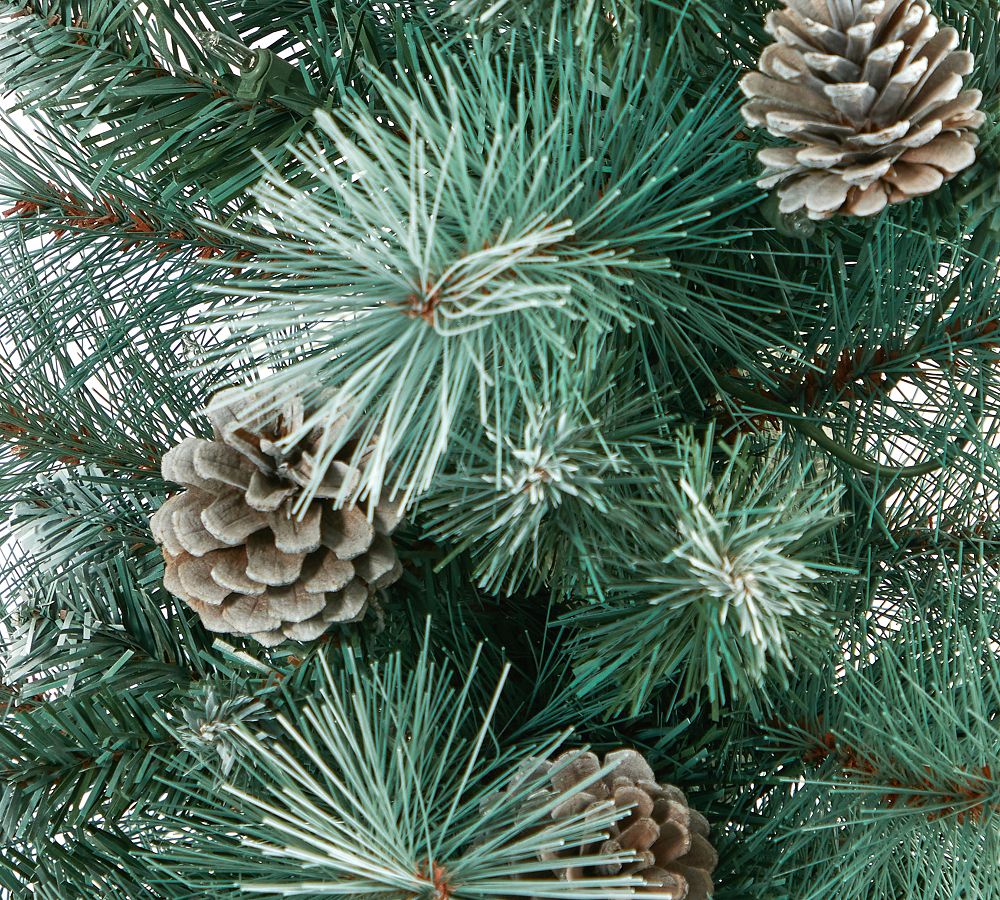Potted Frosted Tip British Columbia Mountain Pine Artificial Christmas Tree