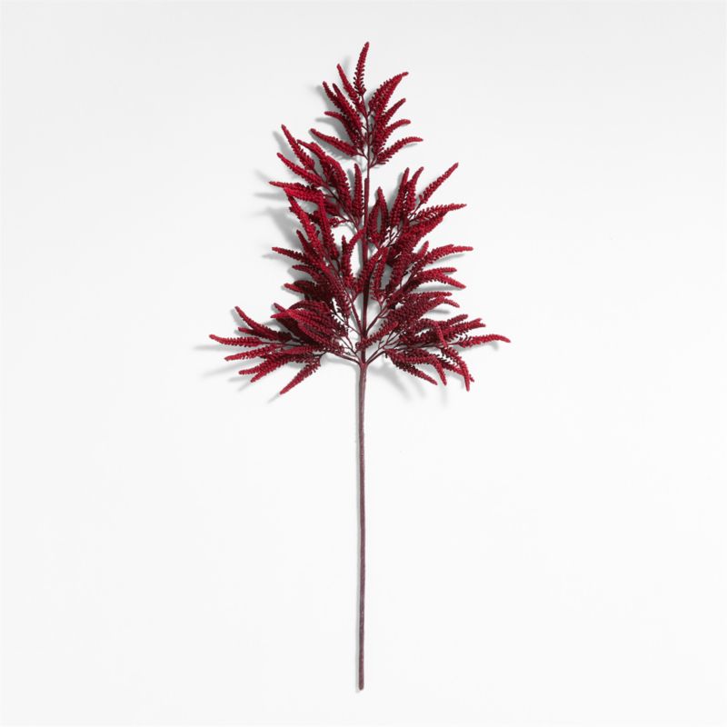Red Amaranthus Holiday Stem 50