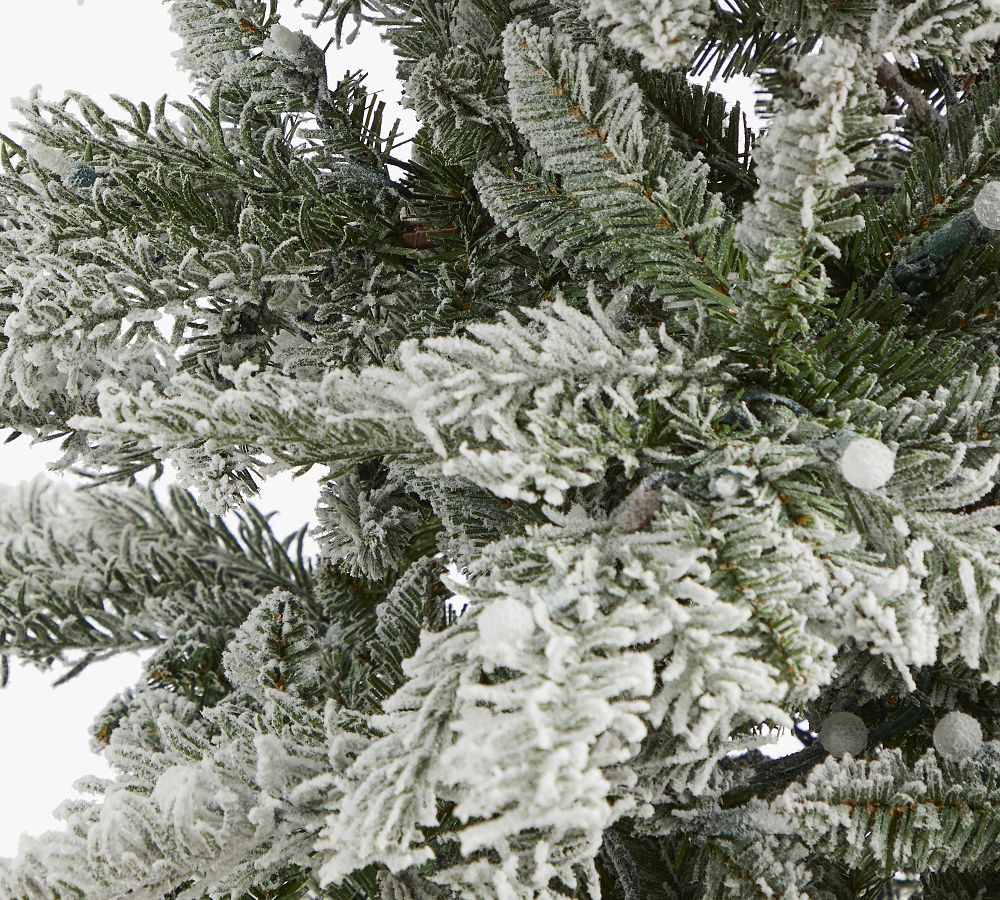 Lit Slim Flocked Nova Scotia Spruce Faux Christmas Tree