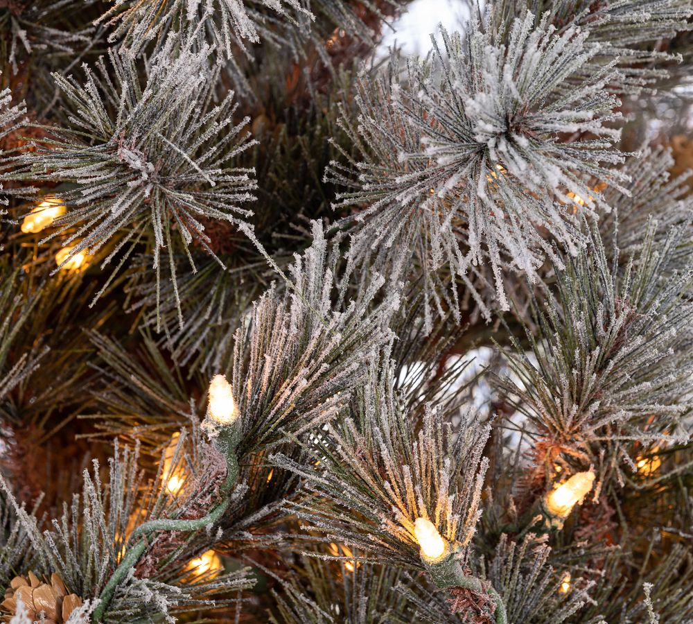 Lit Natural Flocked Scotch Artificial Christmas Tree