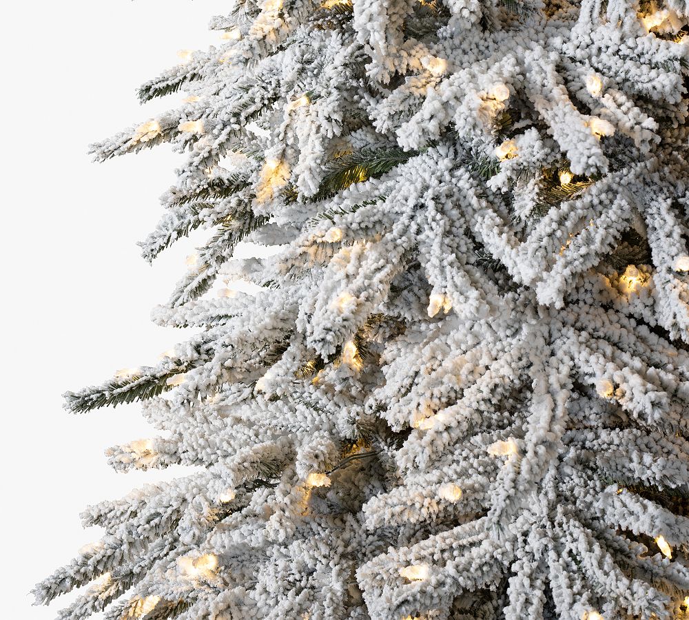 Lit Flocked Snow Pine Faux Christmas Tree