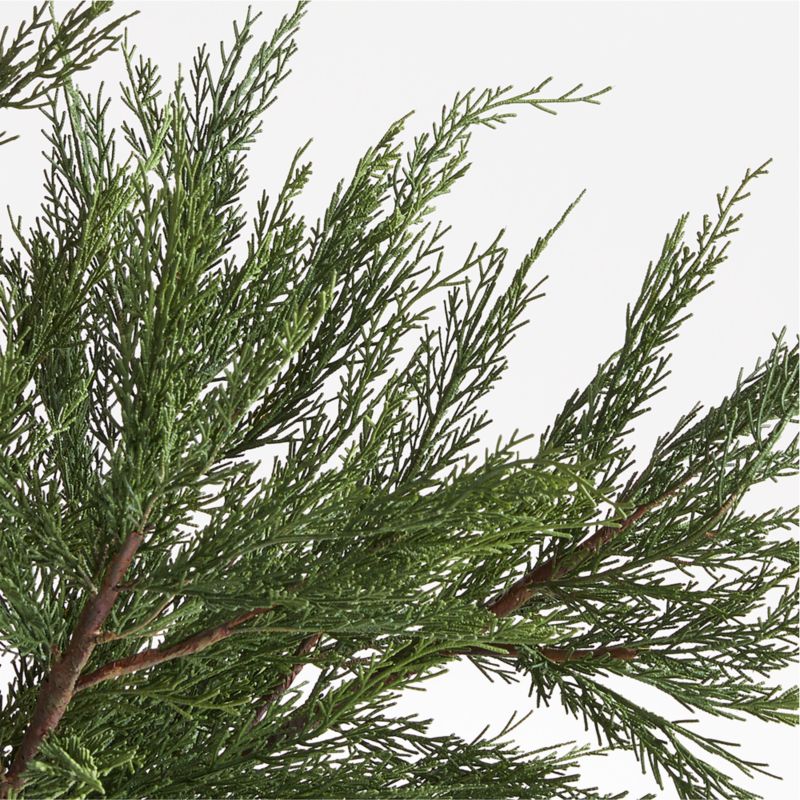 Cypress Stem Arrangement in Ophelia Matte Large Black Vase