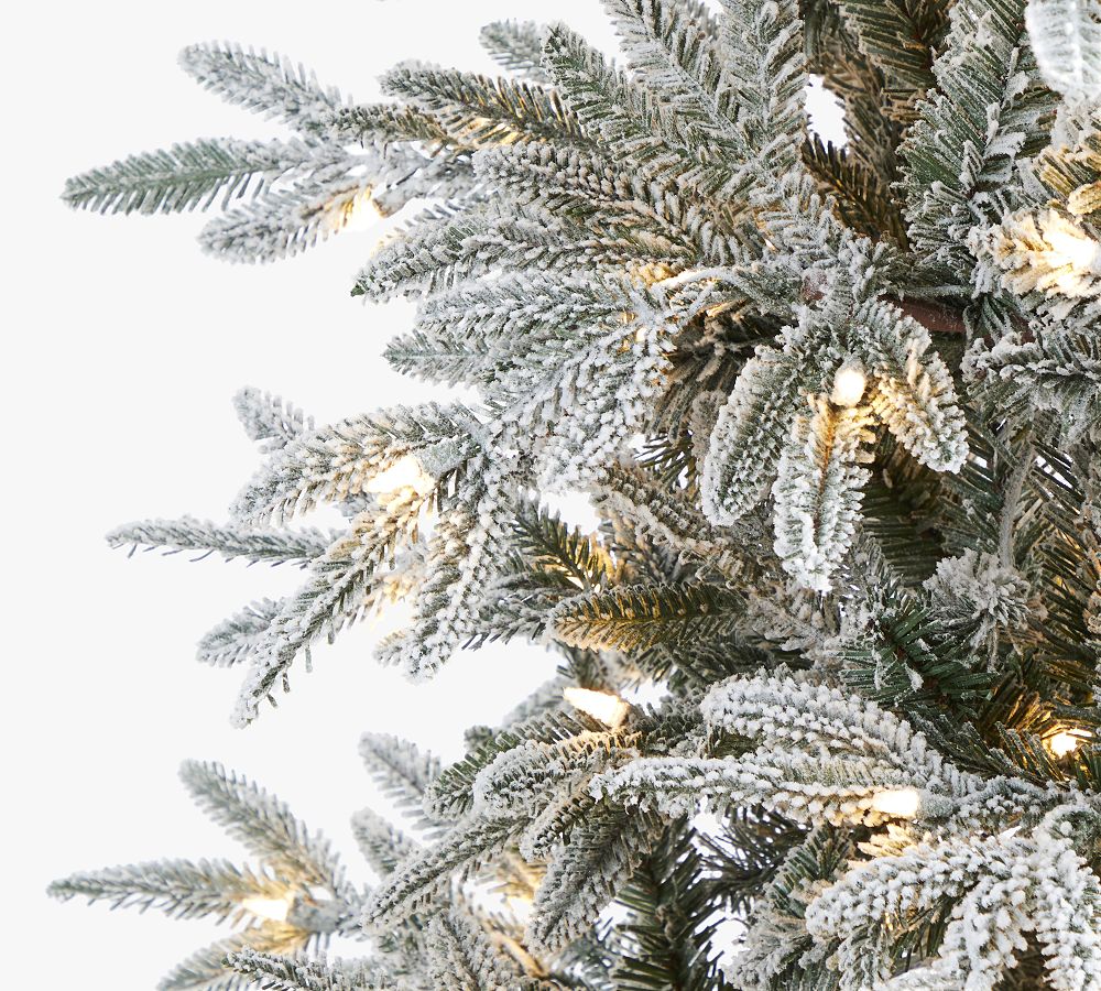 Faux Lit Flocked Manchester Spruce