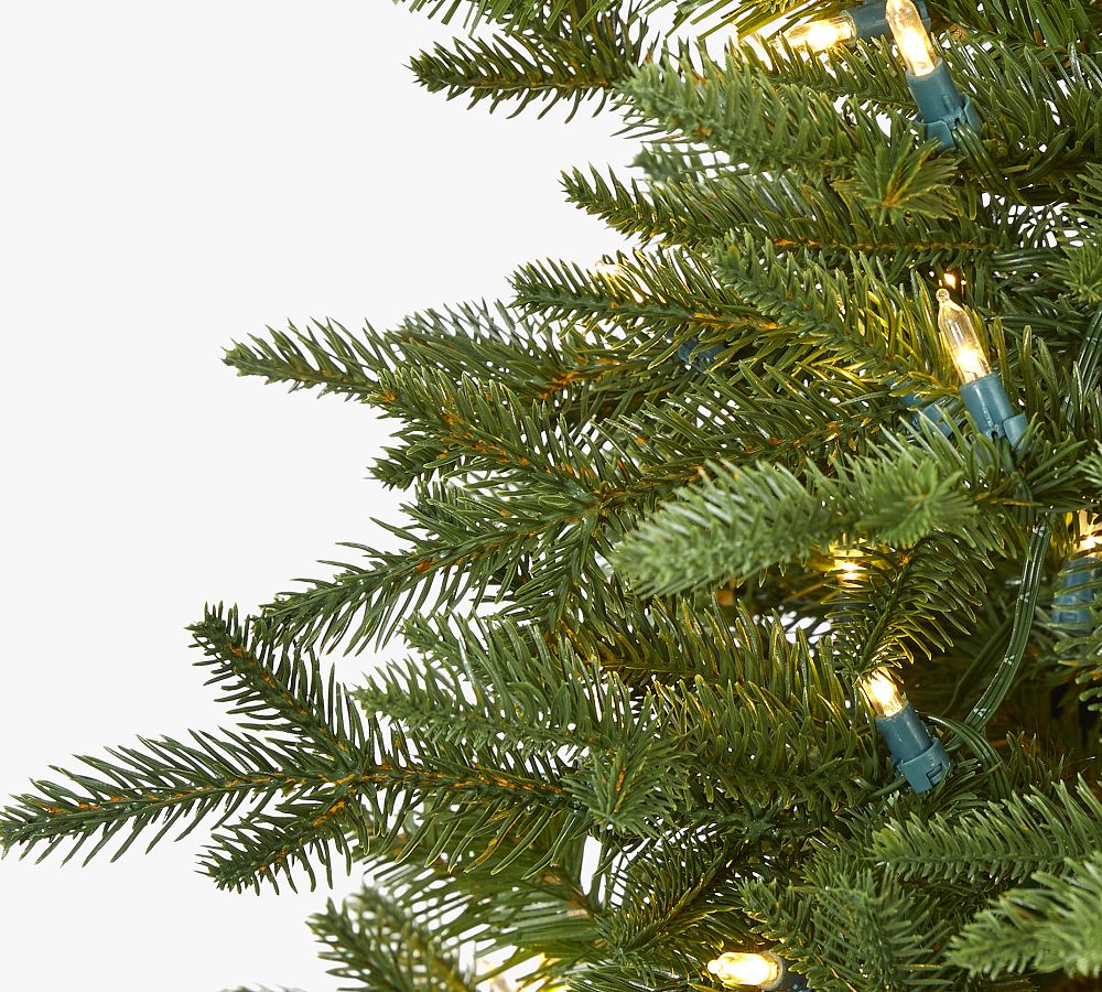 Lit Cambridge Fir Faux Christmas Tree