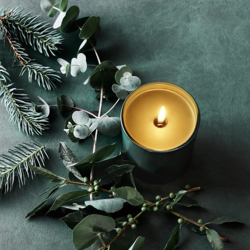 Monochrome No. 03 Evergreen 1-Wick Scented Candle - Eucalyptus, Balsam and Winterberry
