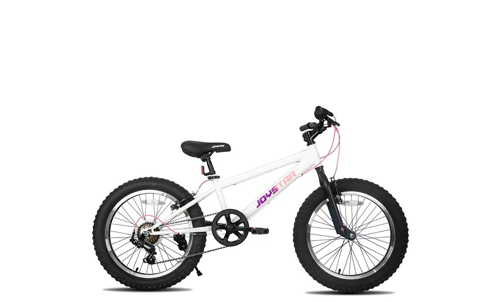 Mountain Bike for Kids Ages 7-12 Year Old, Fat Tire Kids Bike Featuring 7-Speed Shimano Drivetrain, Kids  Bicycle for Boys Girls