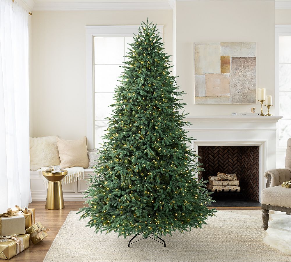 Lit Lakeshore Spruce Faux Christmas Tree