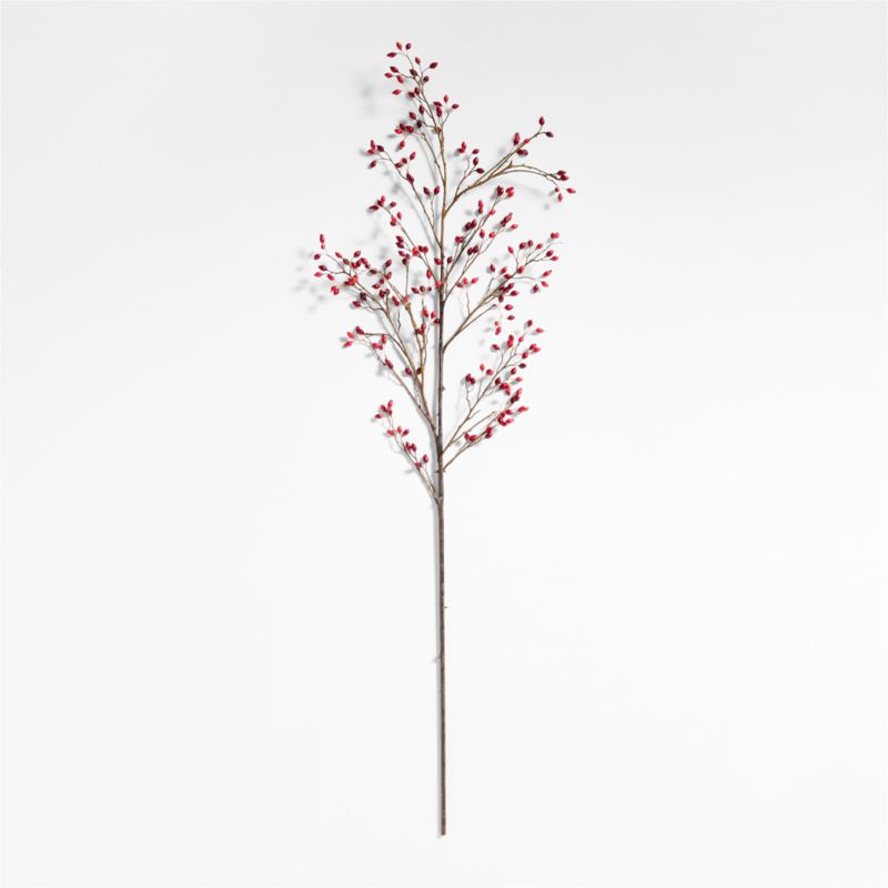 Red Rose Hip Holiday Stem 60