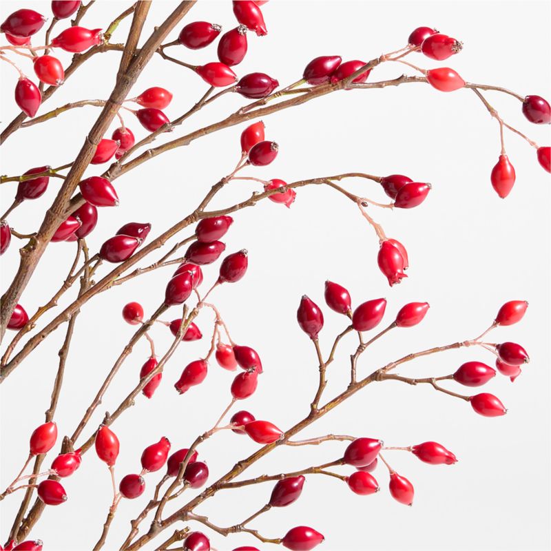 Red Rose Hip Holiday Stem 60