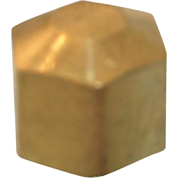 Lasco 5/16 In. Brass Compression Cap - Iieemm