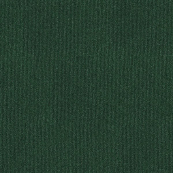 Foss Floors Riverside 6 Ft. x 175 Ft. Green Carpet Runner Roll, Indoor/Outdoor - Iieemm