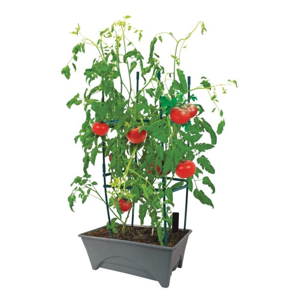 Start Pickin’ 20 In. W. x 8 In. H. x 12 In. L. Slate Polyethylene Raised Bed Grow Box - Iieemm