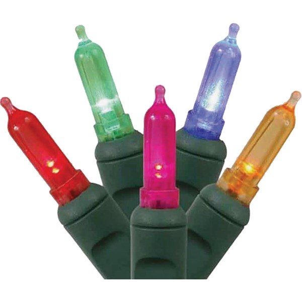 J Hofert Multi 50-Bulb Mini LED String Light Set - Iieemm