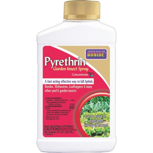 Bonide 8 Oz. Concentrate Pyrethrin Insect Killer - Iieemm