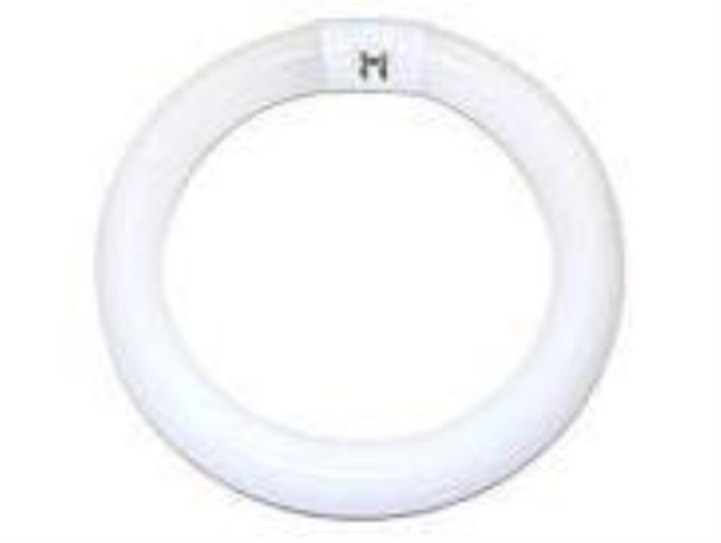 Philips 32W 12 In. Bright White T9 4-Pin Circline Fluorescent Tube Light Bulb - Iieemm