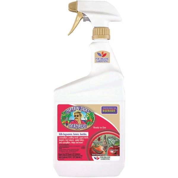 Captain Jack 1 Qt. Dead Bug Brew Insect Killer - Iieemm