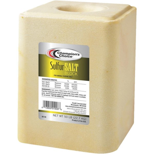 Champions Choice 50 Lb. Sulfur Salt Block - Iieemm