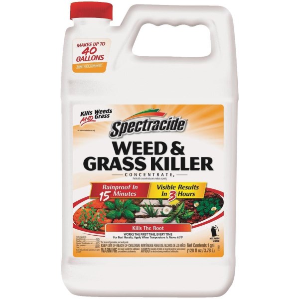 Spectracide 1 Gal. Concentrate Weed & Grass Killer - Iieemm