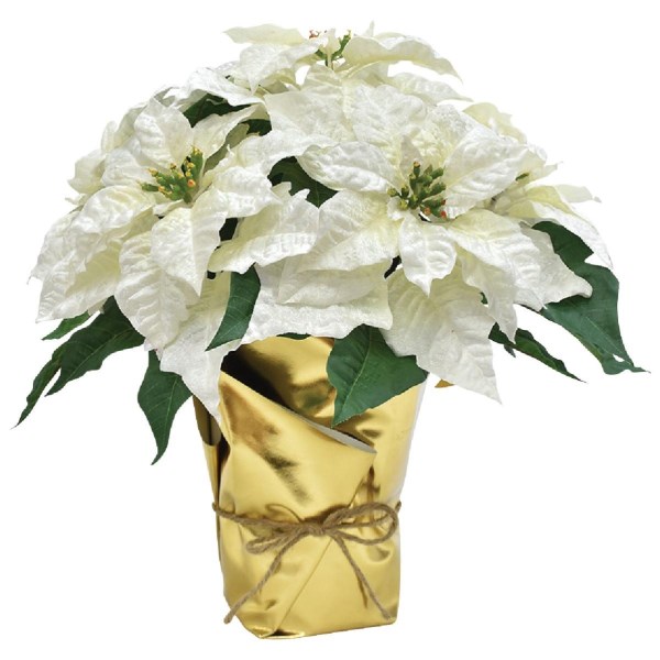 17 In. Winter White Poinsettia - Iieemm