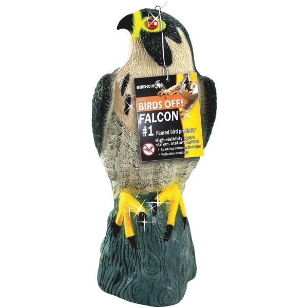 Bird X 17 In. H. x 8 In. Dia. Falcon Pest Deterrent Decoy - Iieemm