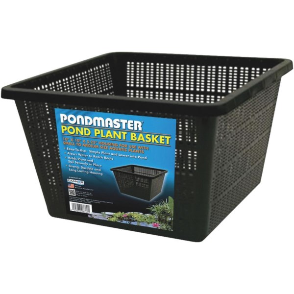 PondMaster 10 In. x 10 In. Black Pond Plantainer - Iieemm