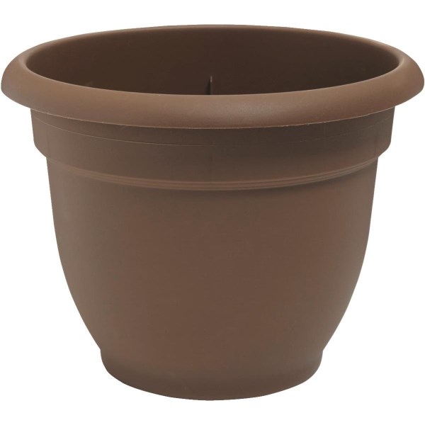 Bloem Ariana 6.5 In. H. x 6 In. Dia. Plastic Self Watering Chocolate Planter - Iieemm